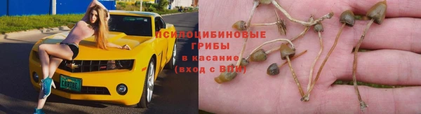 а пвп мука Армянск