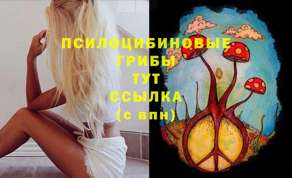 дурь Аркадак