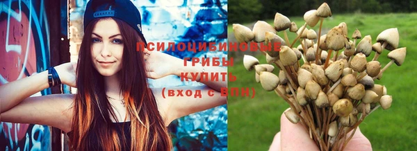 дурь Аркадак