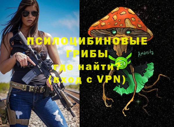 герыч Арсеньев