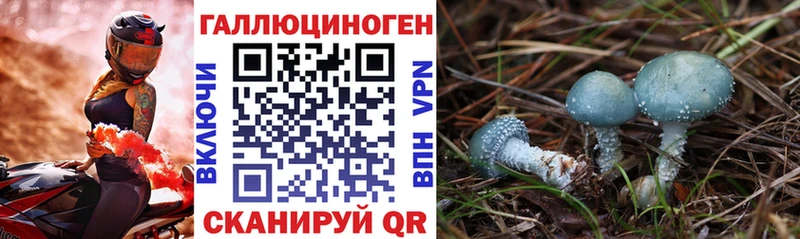 наркота Бежецк Галлюциногенные грибы ЛСД