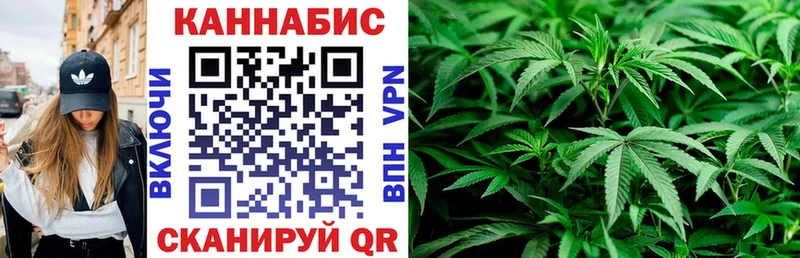где купить наркоту  Бежецк  даркнет наркотические препараты  Канабис MAZAR 